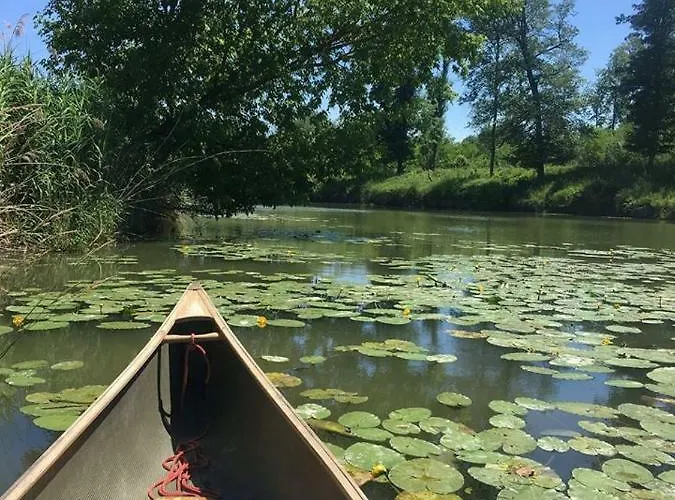 Donaupark Tulln Tulln An Der Donau
